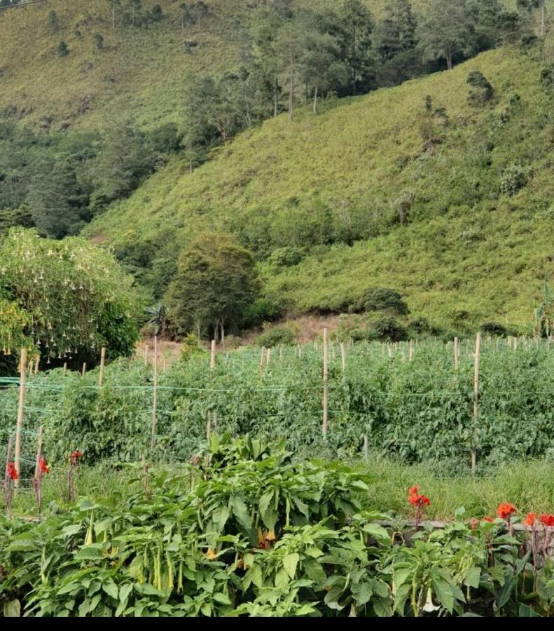 Villa Gunung Mas Berastagi بيراستاغي المظهر الخارجي الصورة